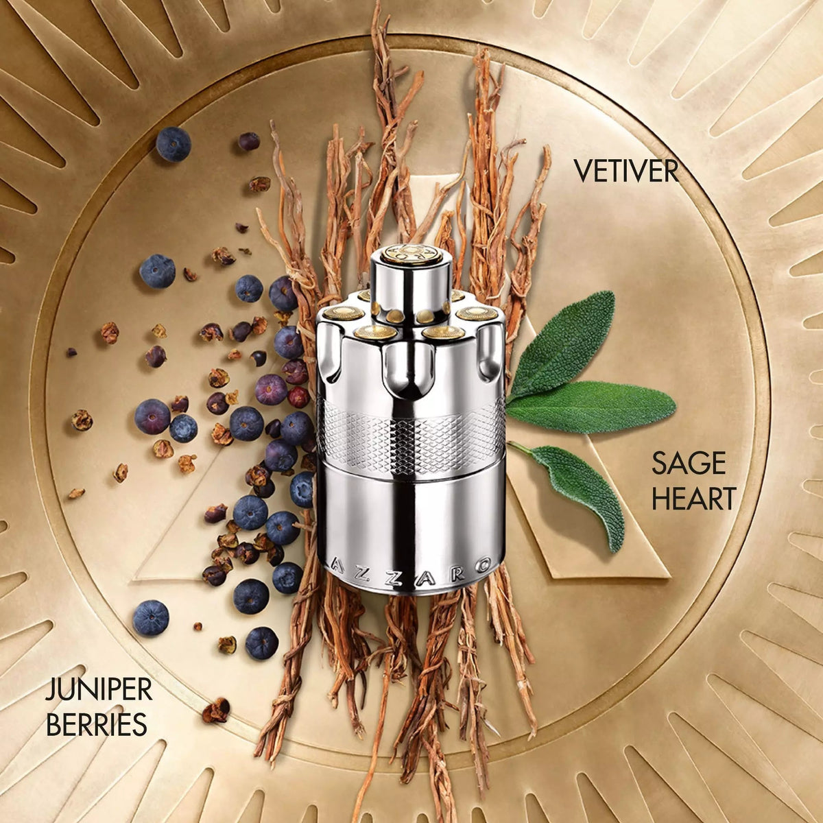 Perfume Azzaro Wanted EDP (M) / 100 ml - 4 - Privé Perfumes Honduras