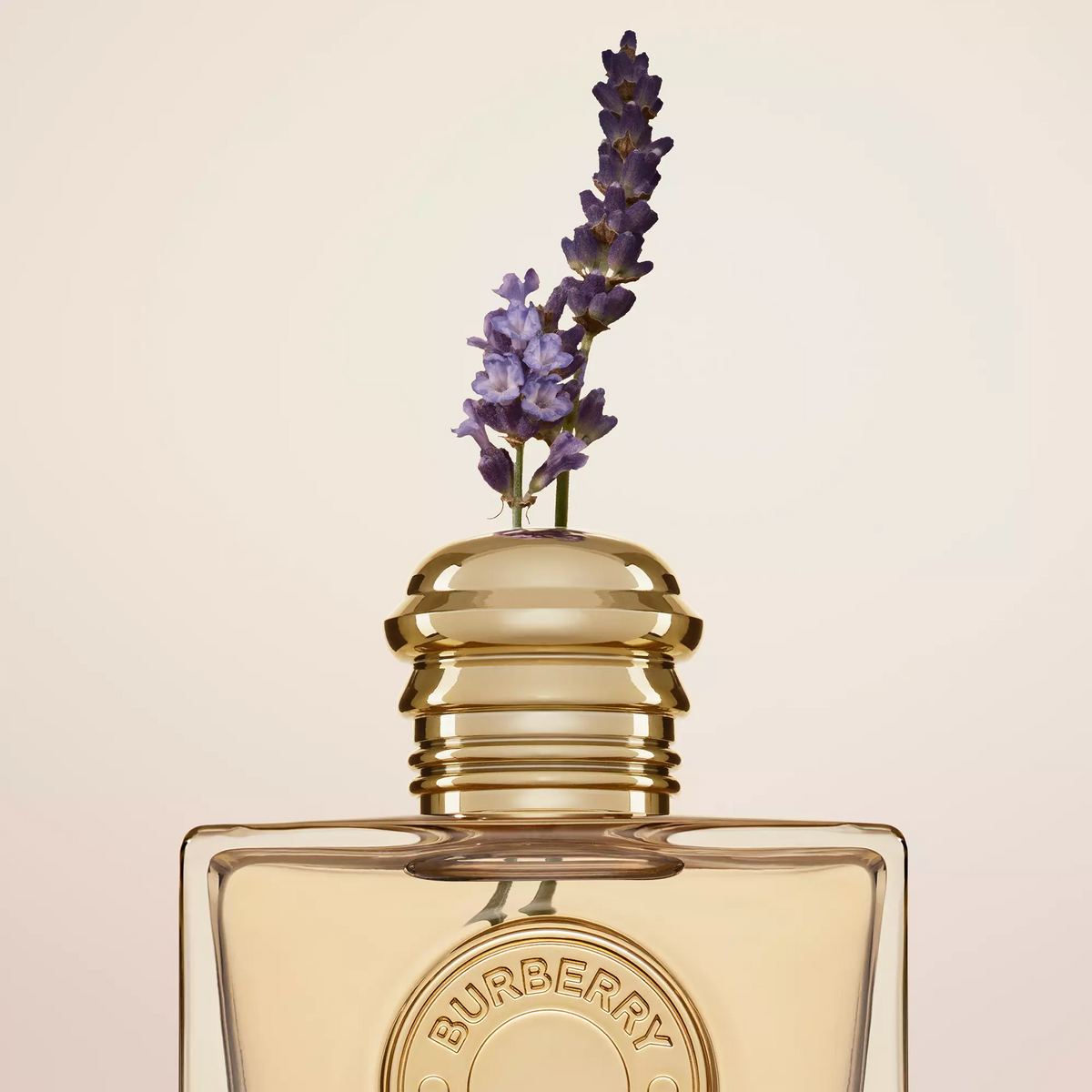 Perfume Burberry Goddess EDP (W) / 50 ml - 3 - Privé Perfumes Honduras