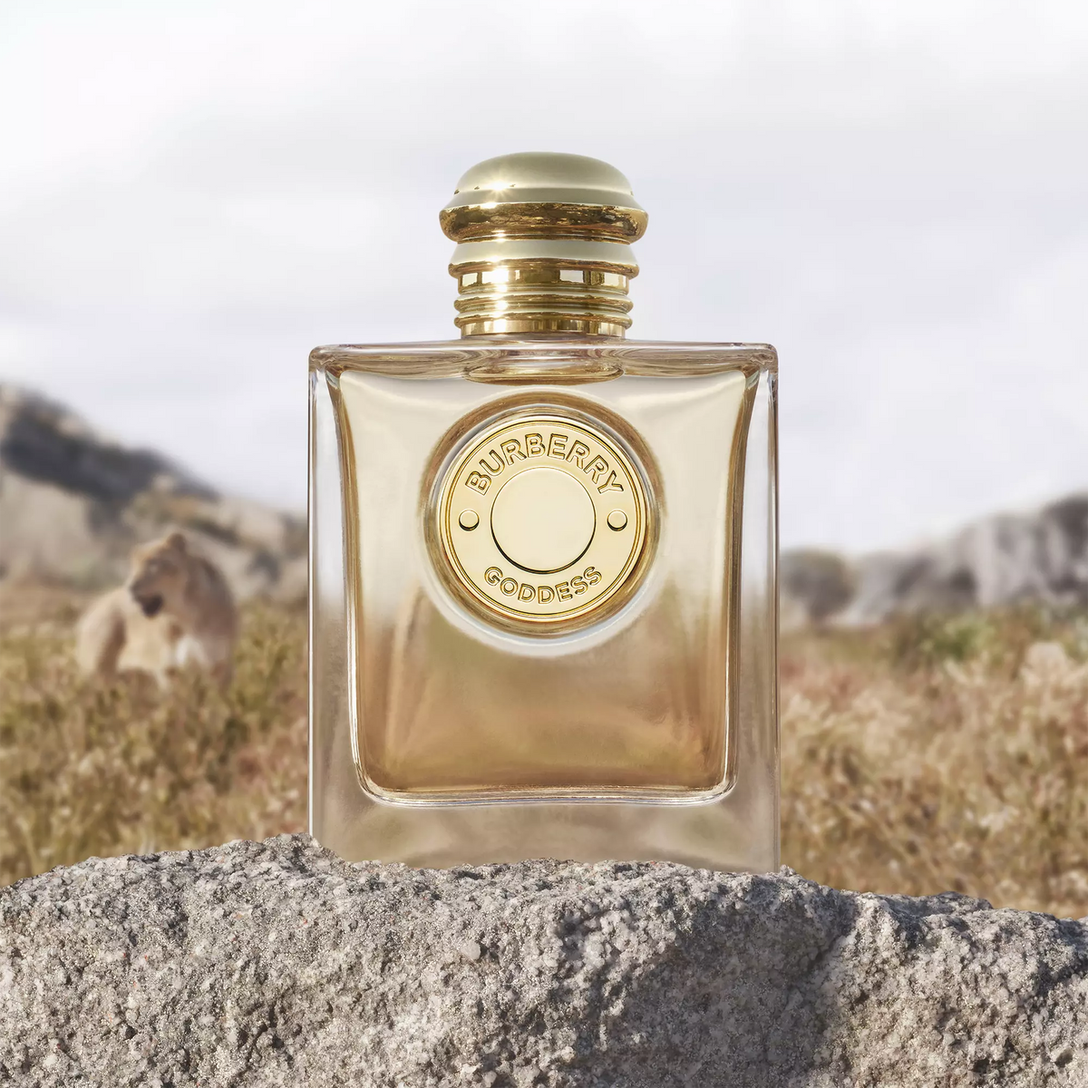 Perfume Burberry Goddess EDP (W) / 50 ml - 5 - Privé Perfumes Honduras