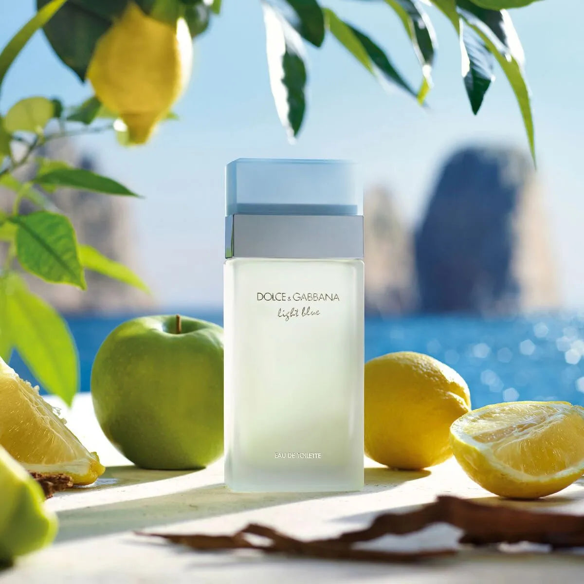Perfume Dolce&Gabbana Light Blue EDT (W) / 100 ml - 4 - Privé Perfumes Honduras