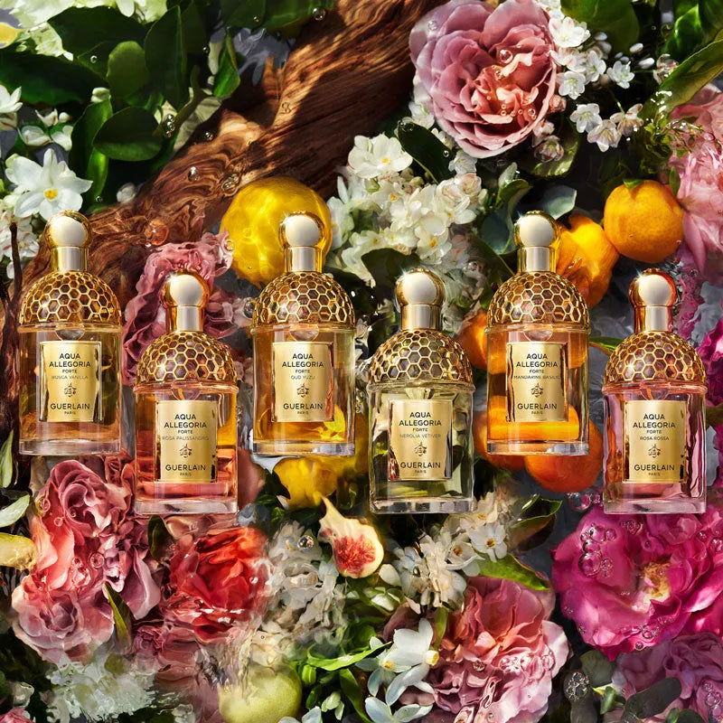 Perfume Guerlain Aqua Allegoria Forte Oud Yuzu EDP (U) / 125 ml - 12 - Privé Perfumes Honduras