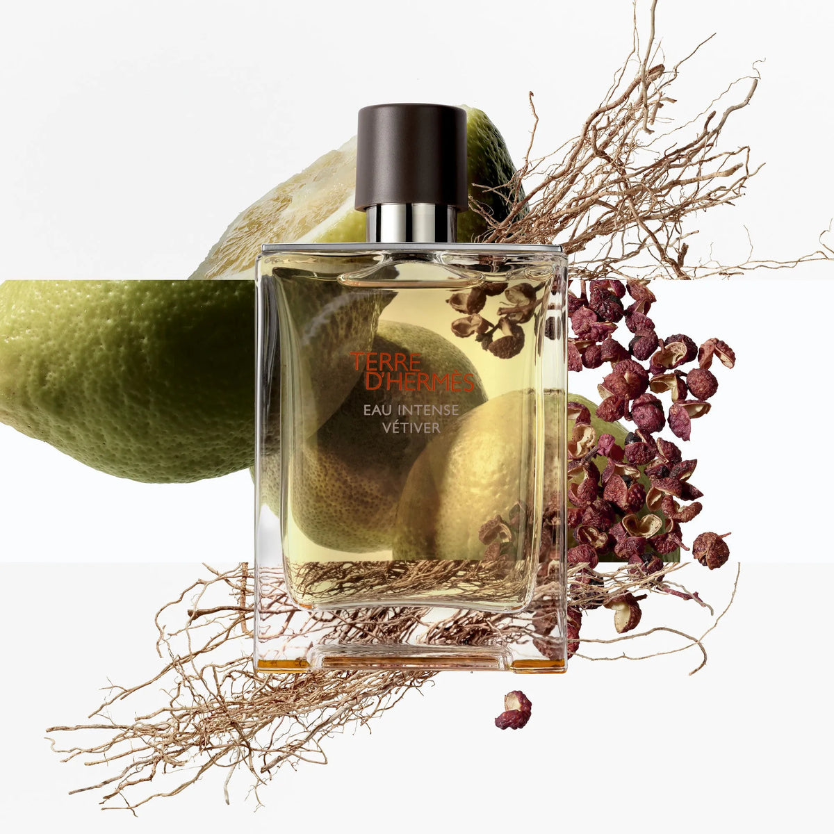 Perfume Hermès Terre d'Hermes Eau Intense Vetiver EDP (M) / 50 ml - 5 - Privé Perfumes Honduras