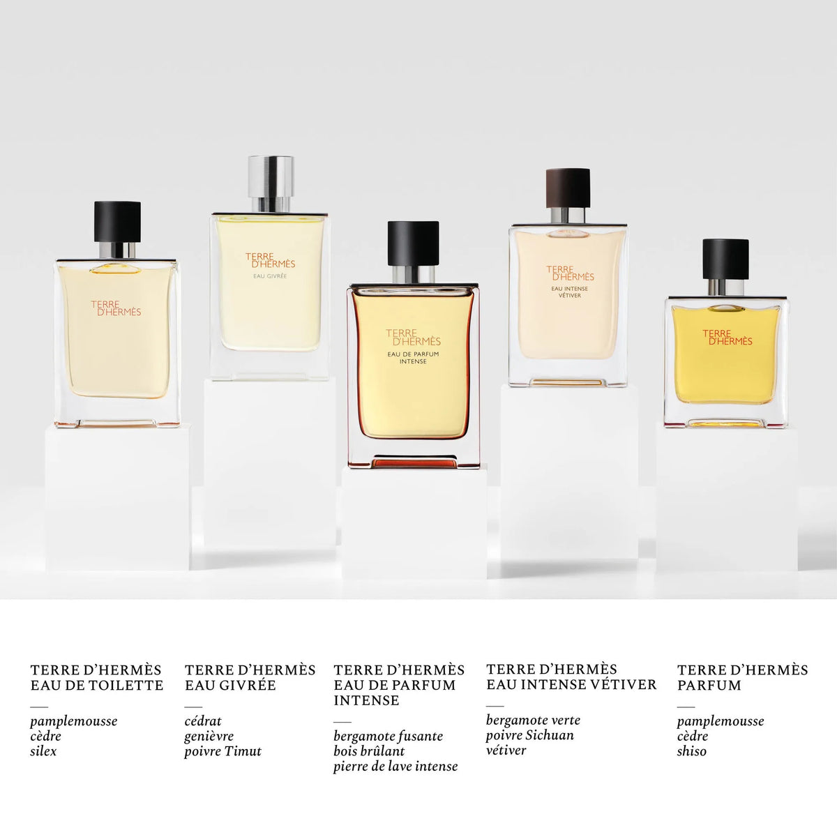Perfume Hermès Terre d'Hermes Eau Intense Vetiver EDP (M) / 50 ml - 6 - Privé Perfumes Honduras