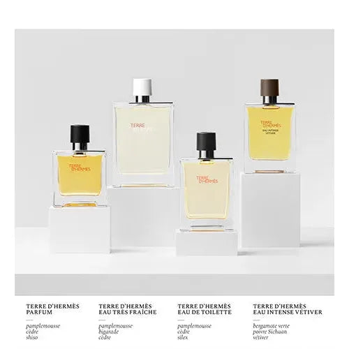 Perfume Hermès Terre d'Hermès EDT (M) / 100 ml - 8 - Privé Perfumes Honduras