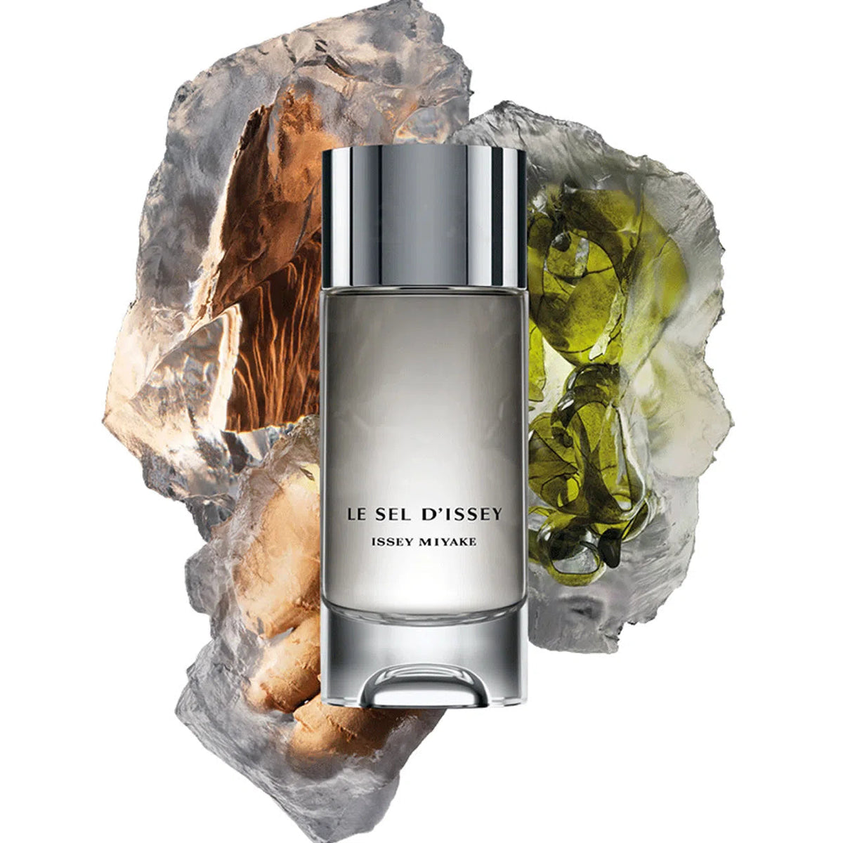Perfume Issey Miyake Le Sel D'Issey EDT (M) / 100 ml - 5 - Privé Perfumes Honduras