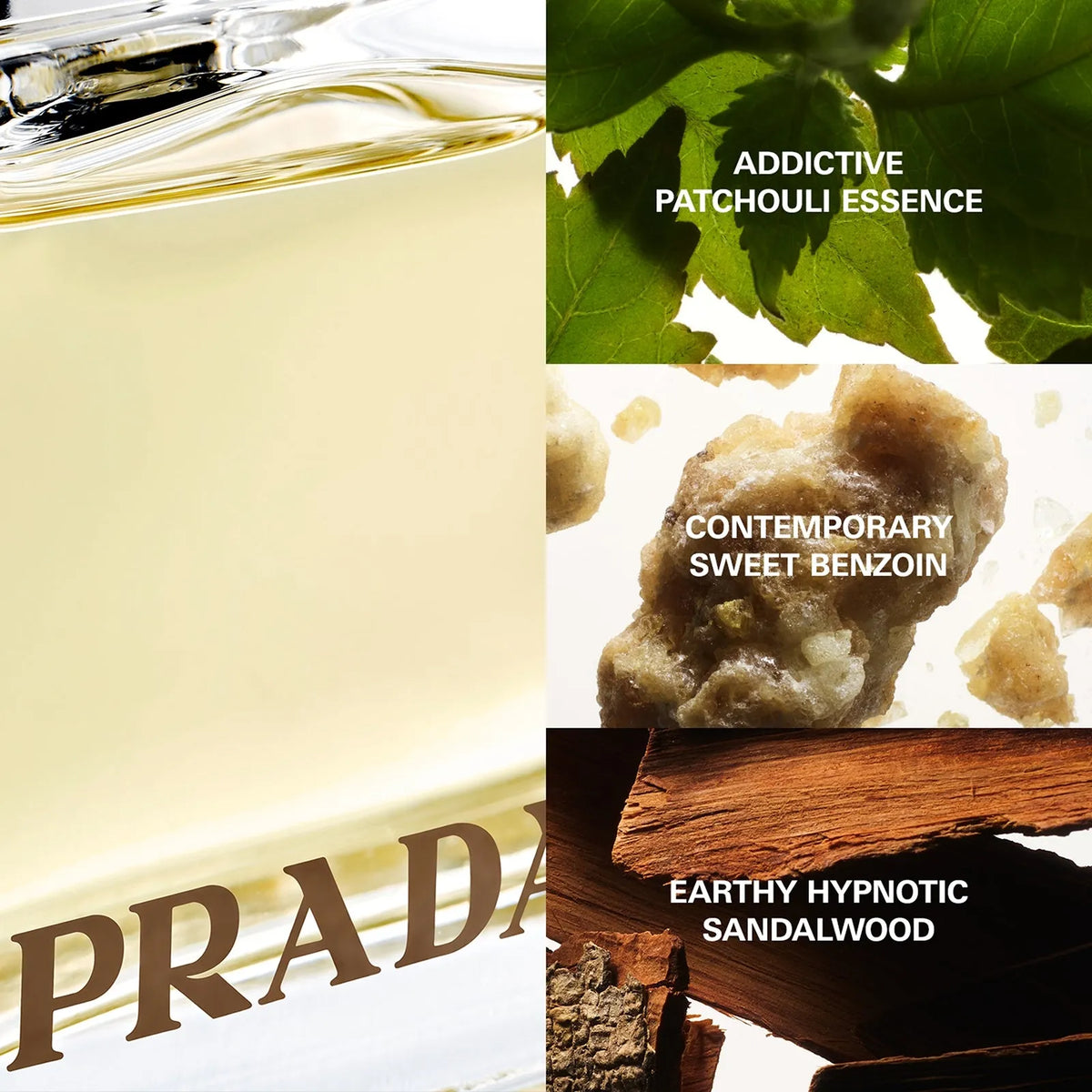 Perfume Prada Amber EDP (W) / 80 ml - 5 - Privé Perfumes Honduras