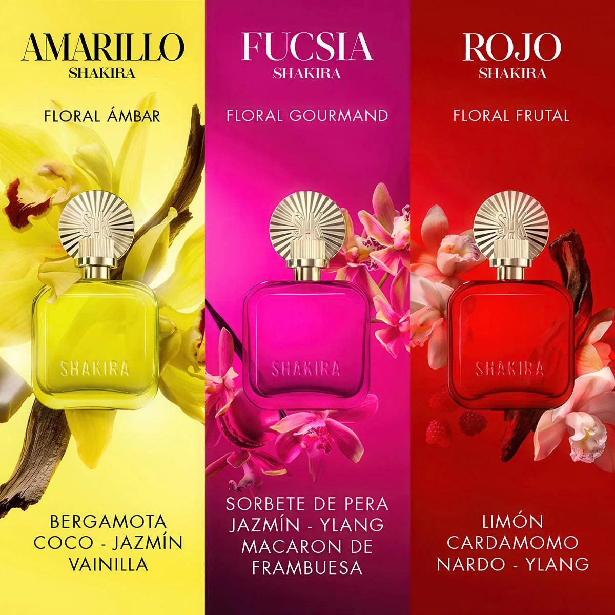 Perfume Shakira Amarillo EDP (W) / 80 ml - 5 - Privé Perfumes Honduras