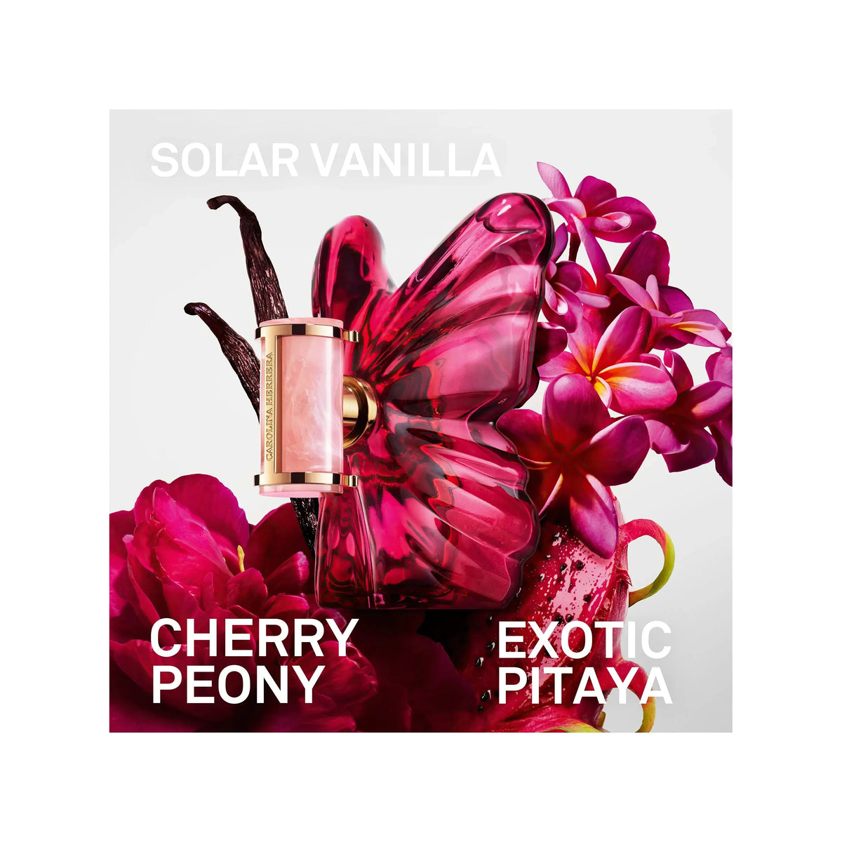 Estuche Carolina Herrera La Bomba EDP (W) / 2 Pc SP 80 ml; BL 100 ml - 2 - Privé Perfumes Honduras