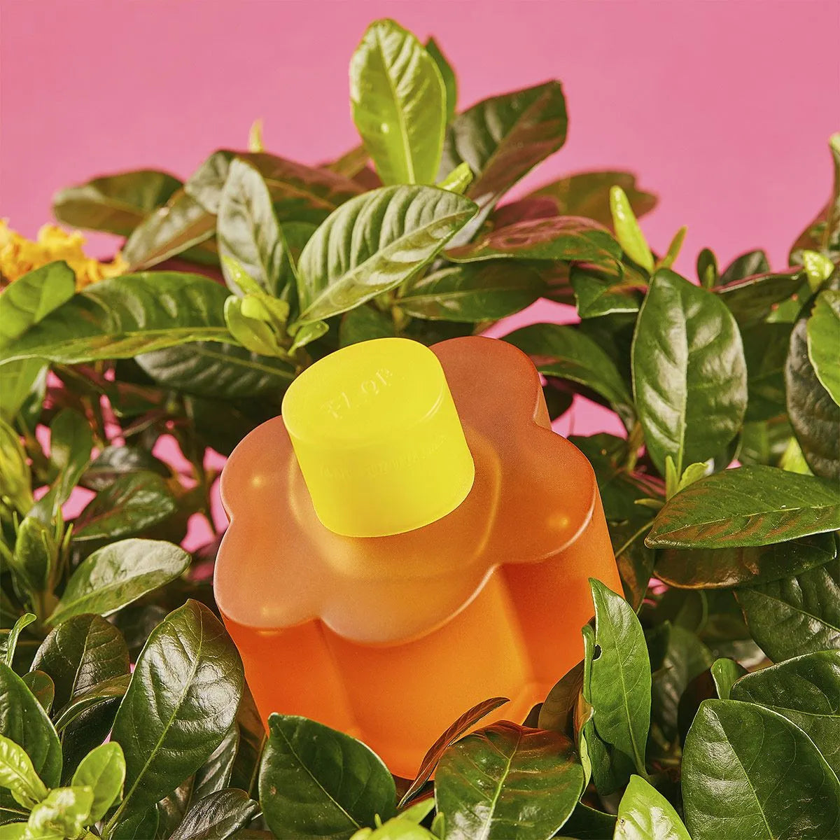 Perfume Agatha Ruiz De La Prada Flor EDT (W) / 100 ml - 6 - Privé Perfumes Honduras