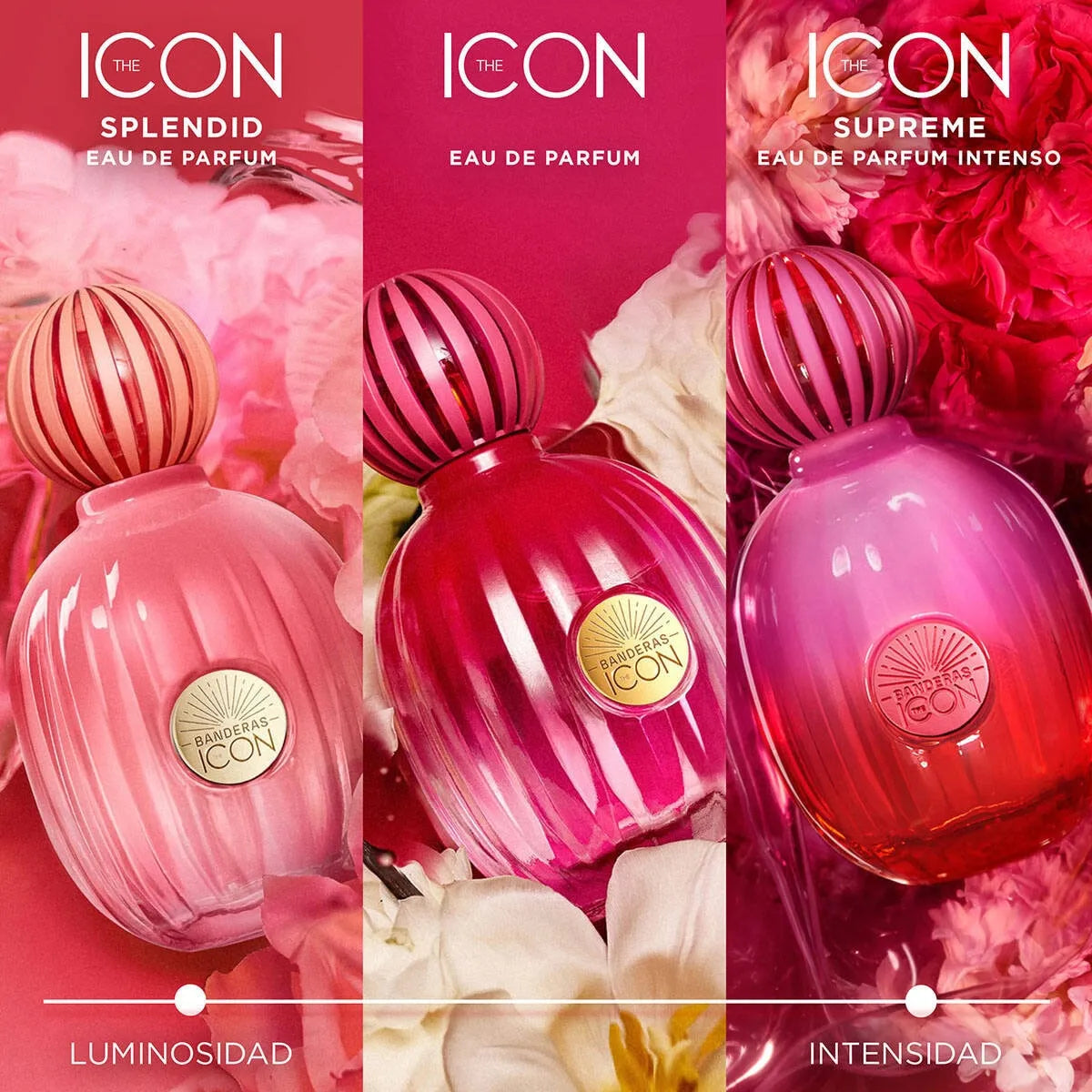 Perfume Antonio Banderas The Icon Supreme EDP (Mujeres) / 100 ml - 9 - Privé Perfumes Honduras