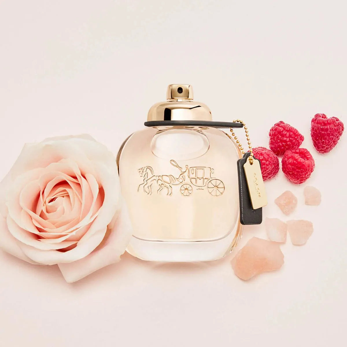 Perfume Coach The Fragrance EDP (W) / 90 ml - 5 - Privé Perfumes Honduras