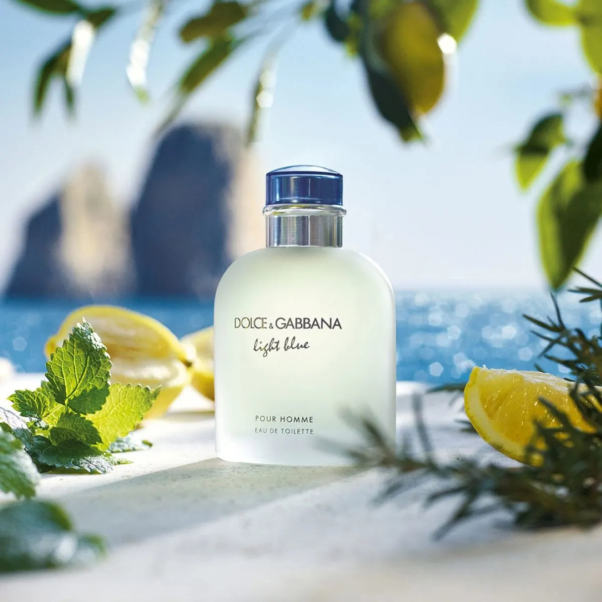 Perfume Dolce&Gabbana Light Blue Pour Homme EDT (M) / 125 ml - 4 - Privé Perfumes Honduras