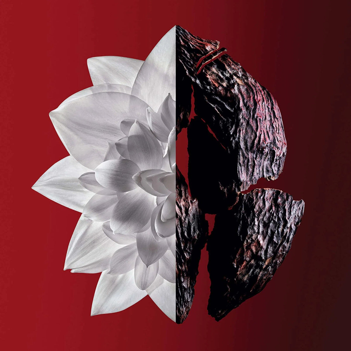 Perfume Givenchy L'Interdit Rouge Ultime EDP (W) / 50 ml - 3 - Privé Perfumes Honduras