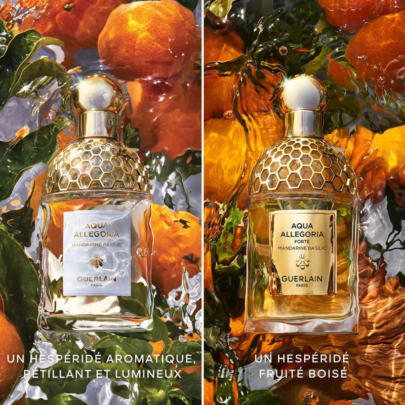 Perfume Guerlain Aqua Allegoria Forte Oud Yuzu EDP (U) / 125 ml - 8 - Privé Perfumes Honduras