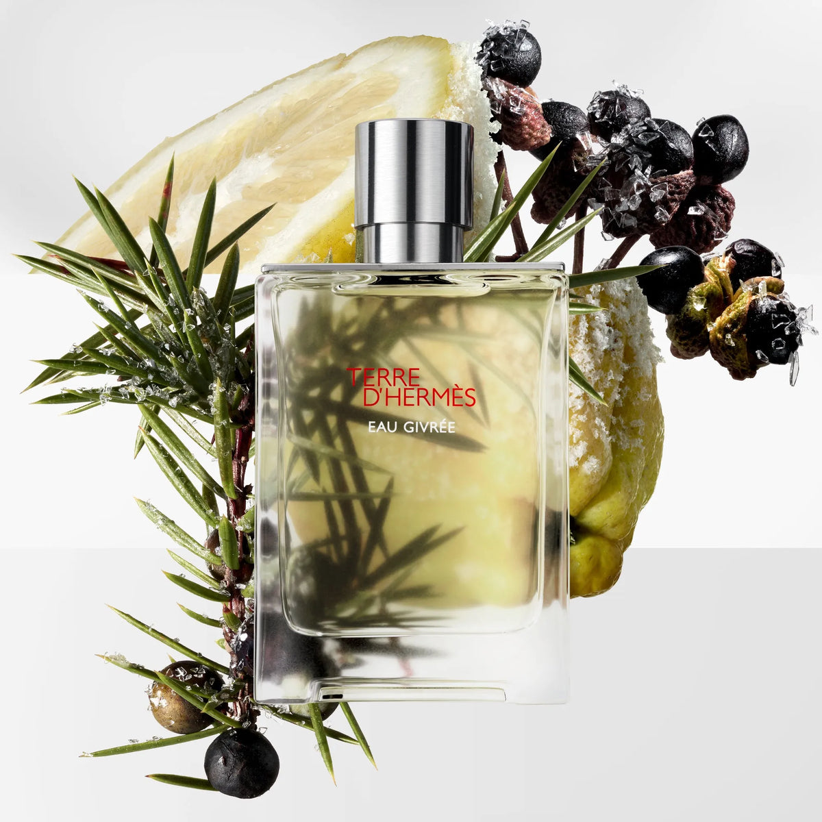 Perfume Hermès Terre D'Hermes Eau Givree EDP (U) / 175 ml - 11 - Privé Perfumes Honduras