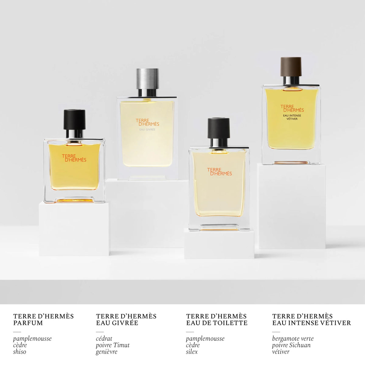 Perfume Hermès Terre D'Hermes Eau Givree EDP (U) / 175 ml - 12 - Privé Perfumes Honduras