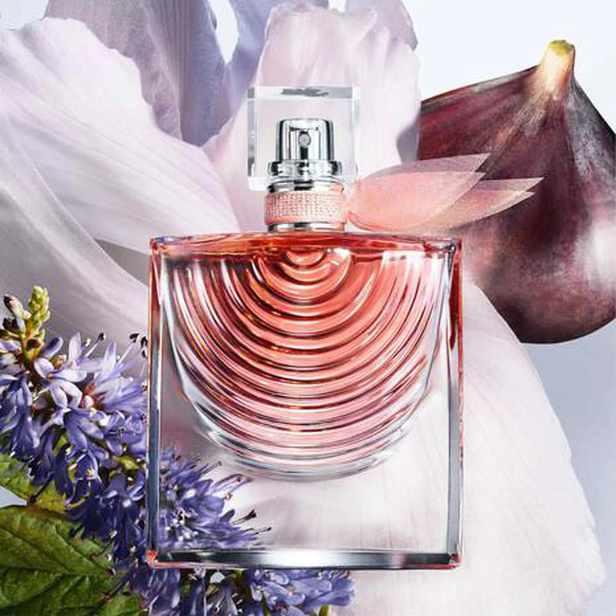 Perfume Lancôme La Vie Est Belle Iris Absolu EDP (W) / 100 ml - 6 - Privé Perfumes Honduras