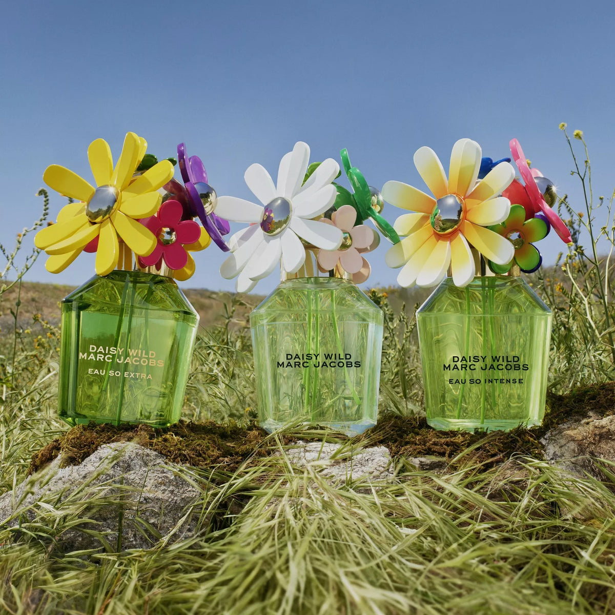 Perfume Marc Jacobs Daisy Wild Eau So Extra EDP (W) / 100 ml - 5 - Privé Perfumes Honduras
