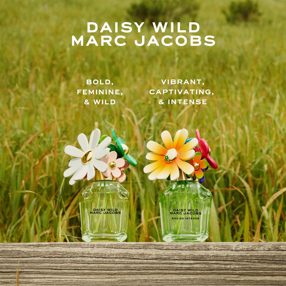 Perfume Marc Jacobs Daisy Wild Eau So Intense EDP (W) / 50 ml - 10 - Privé Perfumes Honduras