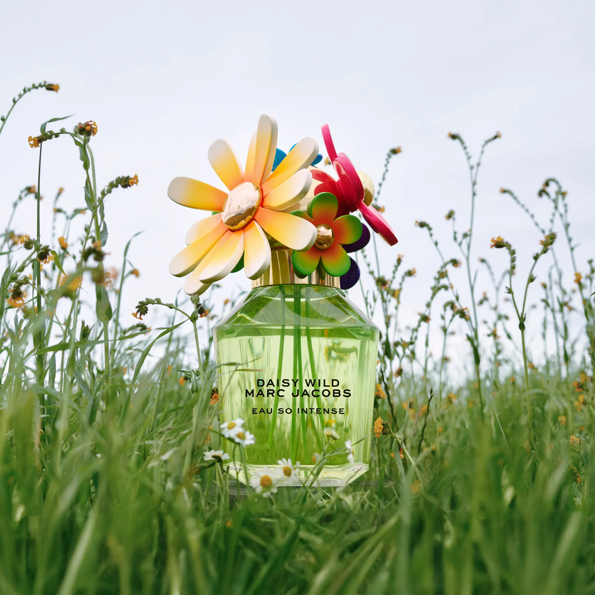 Perfume Marc Jacobs Daisy Wild Eau So Intense EDP (W) / 50 ml - 9 - Privé Perfumes Honduras