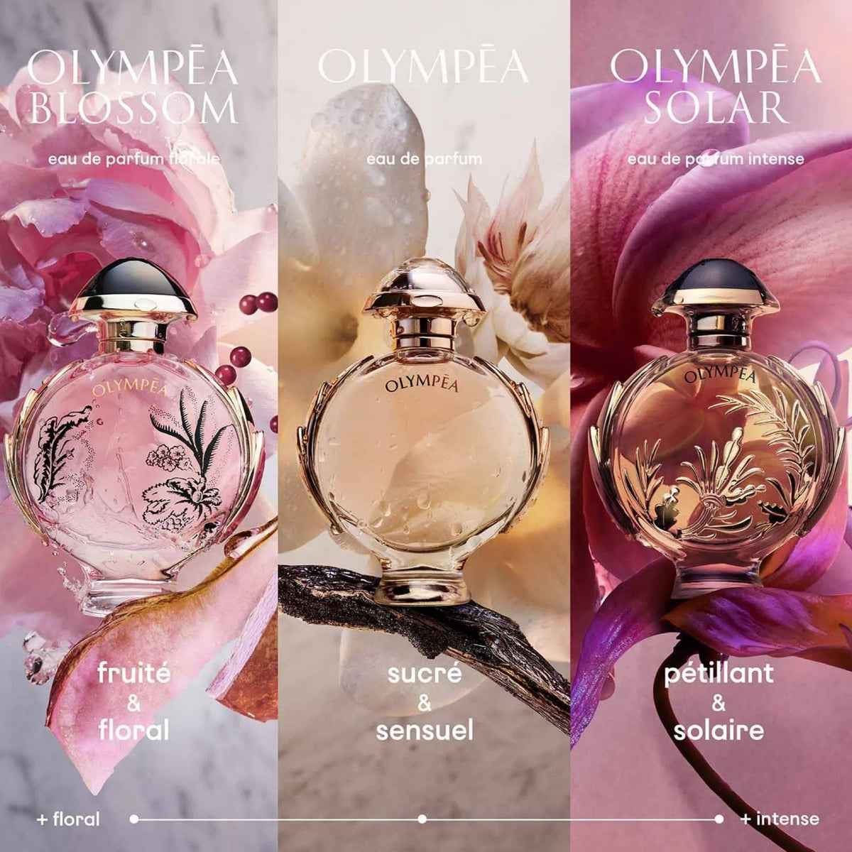 Perfume Paco Rabanne Olympea Solar Intense EDP (W) / 80 ml - 4 - Privé Perfumes Honduras