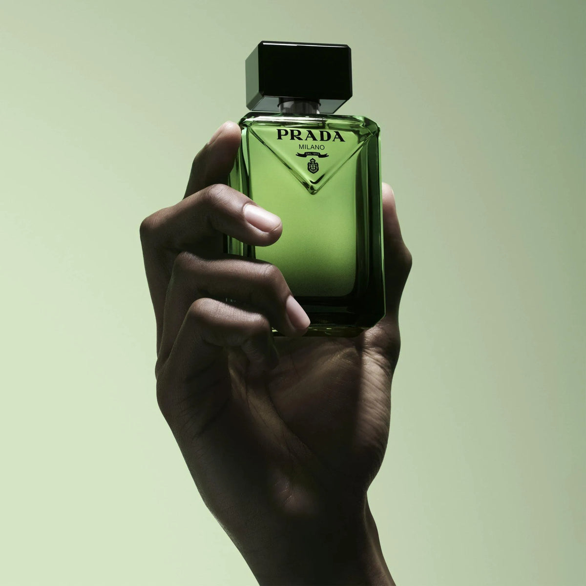 Perfume Prada Paradigme EDP (M) / 100 ml - 7 - Privé Perfumes Honduras