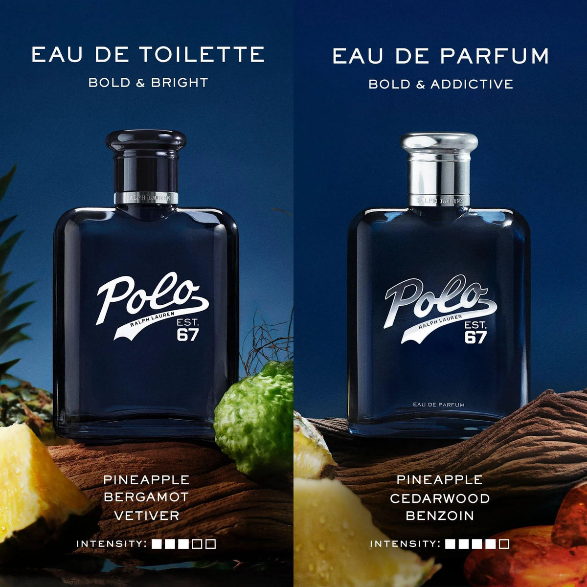 Perfume Ralph Lauren Polo 67 EDP (M) / 125 ml - 6 - Privé Perfumes Honduras