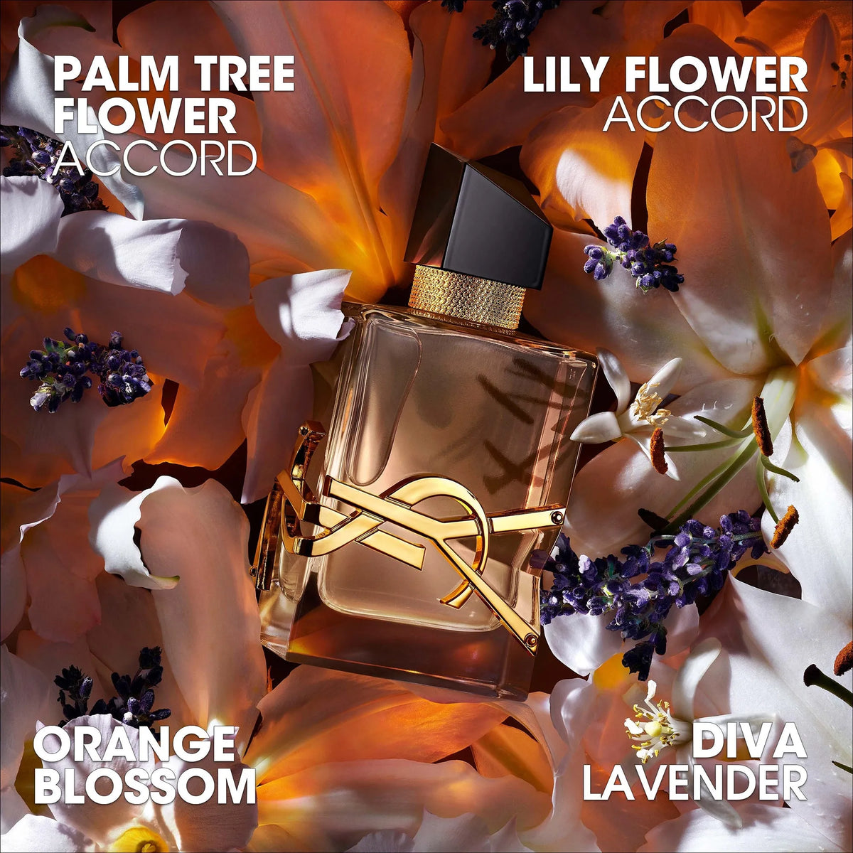 Perfume Yves Saint Laurent Libre Flowers & Flames EDP (W) / 50 ml - 8 - Privé Perfumes Honduras