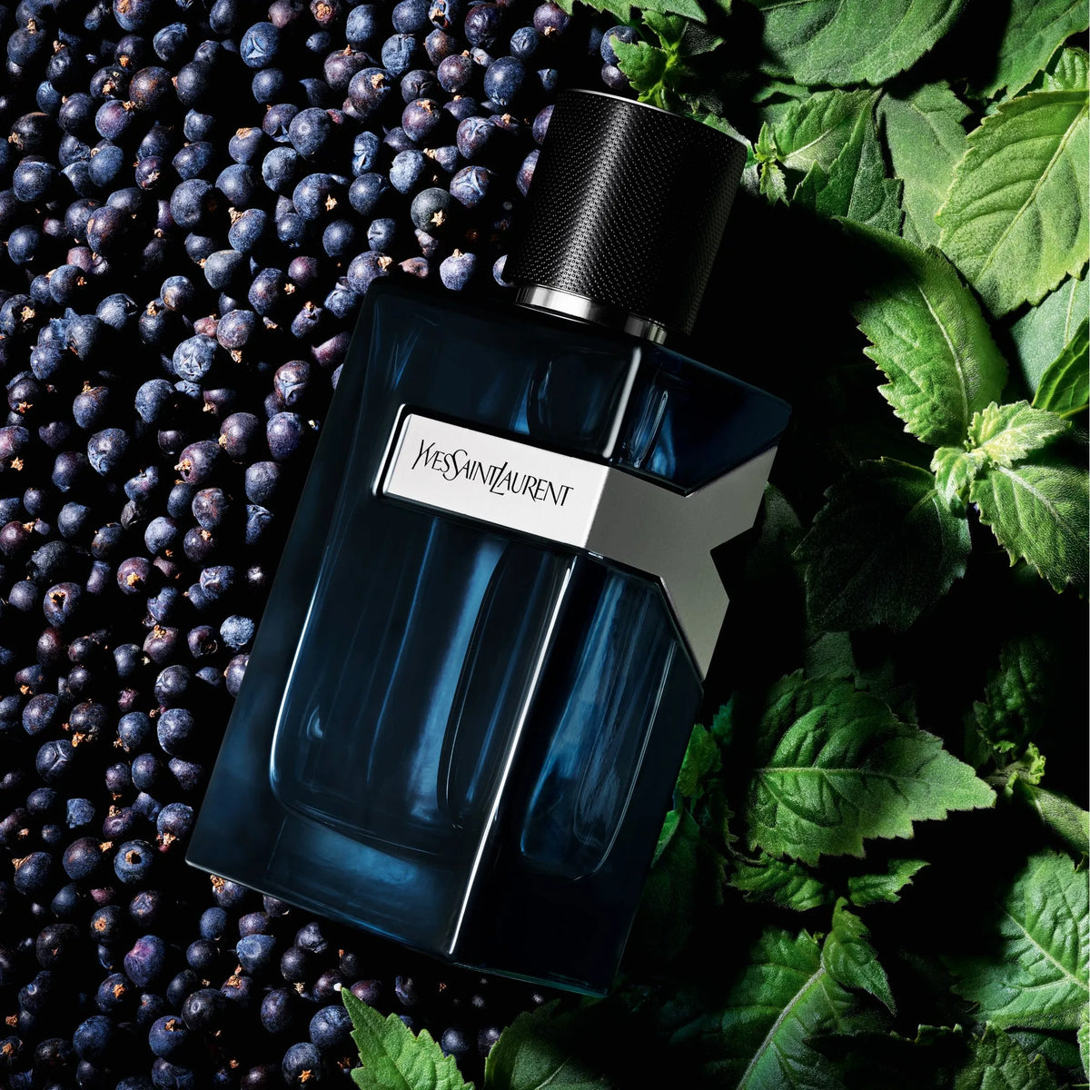 Perfume Yves Saint Laurent Y Intense EDP (M) / 100 ml - 5 - Privé Perfumes Honduras